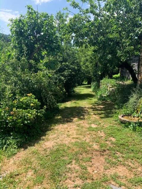Baralla Finca Salvador מראה חיצוני תמונה